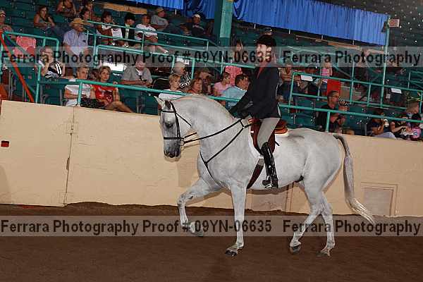 Proof 09yn-06635