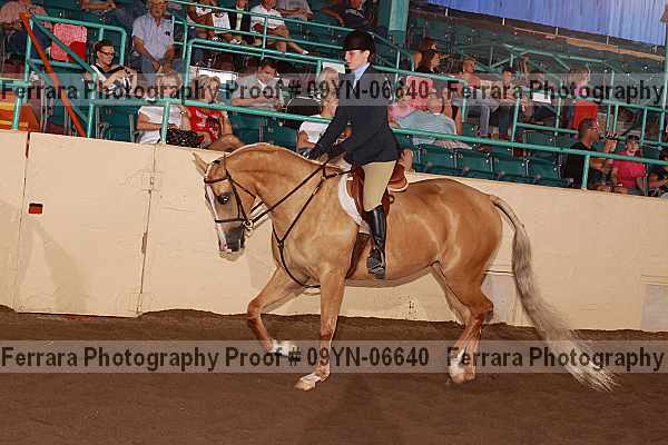 Proof 09yn-06640