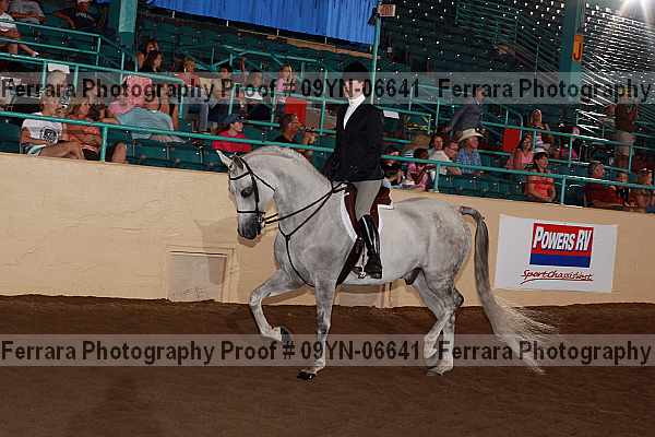 Proof 09yn-06641