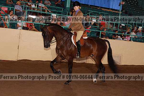 Proof 09yn-06644