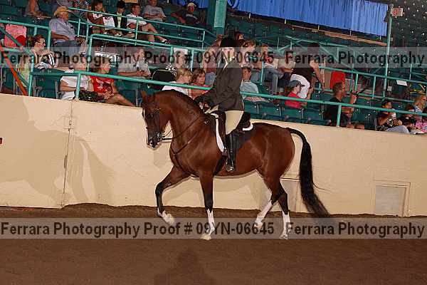 Proof 09yn-06645