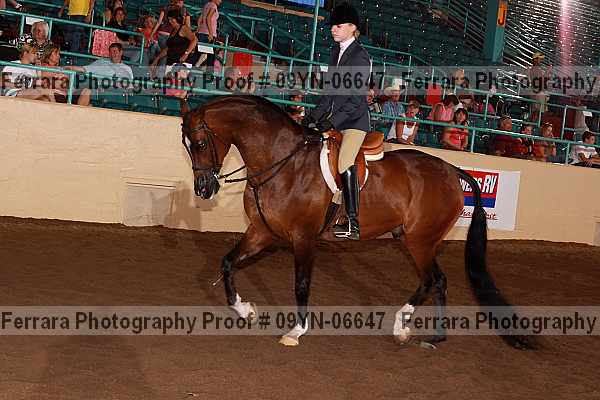 Proof 09yn-06647