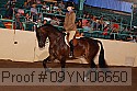 09yn-06650 proof