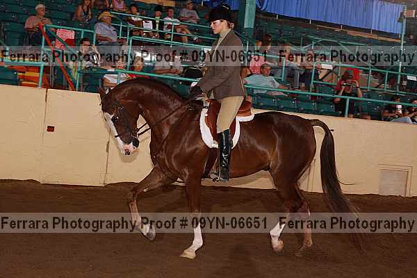 Proof 09yn-06651