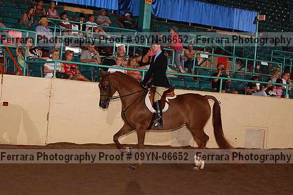 Proof 09yn-06652