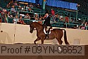 09yn-06652 proof