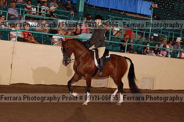 Proof 09yn-06655