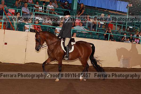 Proof 09yn-06657