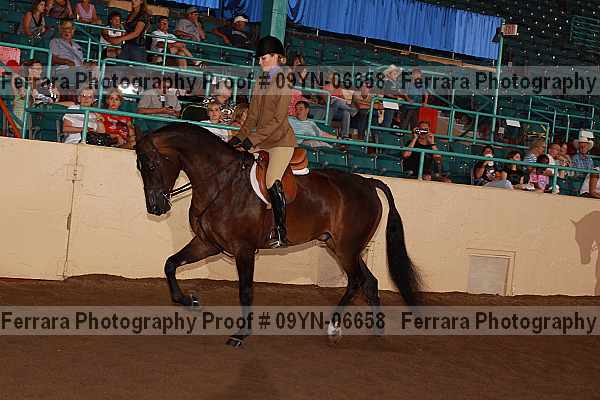 Proof 09yn-06658