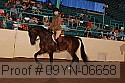 09yn-06658 proof