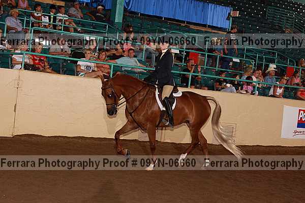 Proof 09yn-06660