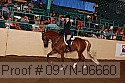 09yn-06660 proof