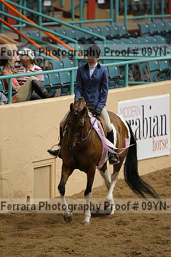 Proof 09yn-06668