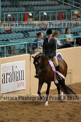 Proof 09yn-06670