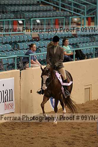 Proof 09yn-06671