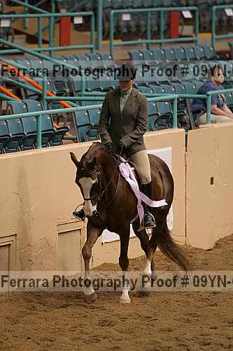 Proof 09yn-06672
