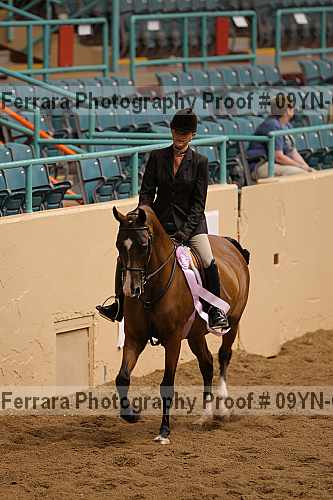 Proof 09yn-06673