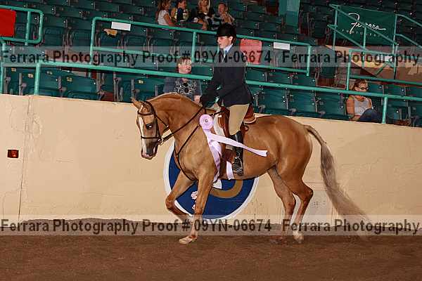 Proof 09yn-06674
