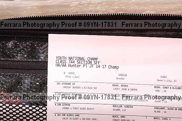 Proof 09yn-17831