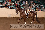 09yn-17854 proof