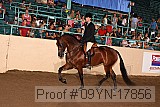 09yn-17856 proof