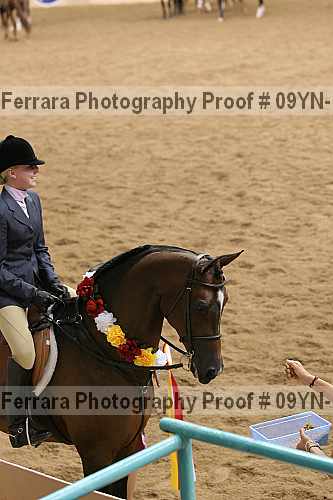 Proof 09yn-17872
