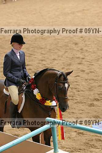 Proof 09yn-17875