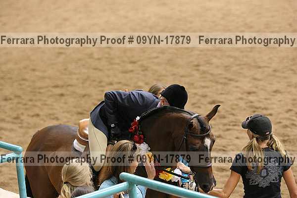 Proof 09yn-17879