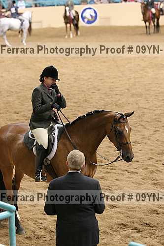 Proof 09yn-17890