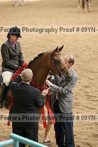 Proof 09yn-17899