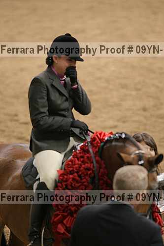 Proof 09yn-17901