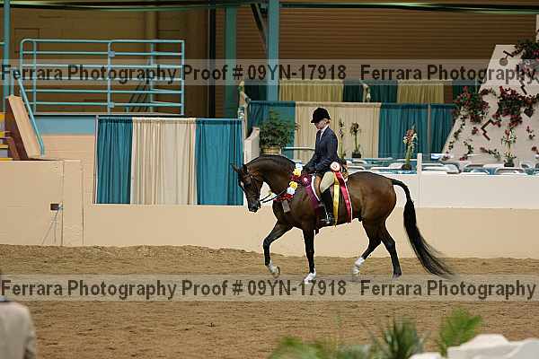 Proof 09yn-17918