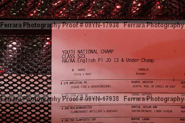 Proof 09yn-17938