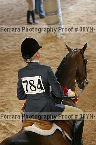 Proof 09yn-17939