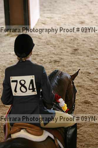 Proof 09yn-17941