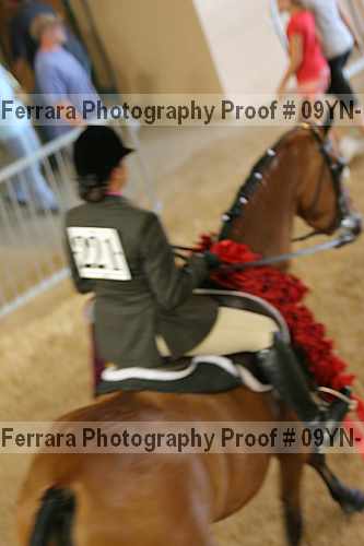 Proof 09yn-17944