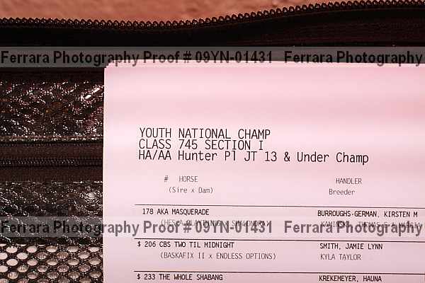 Proof 09yn-01431