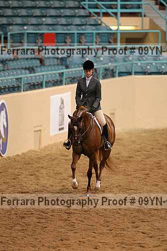 Proof 09yn-01434