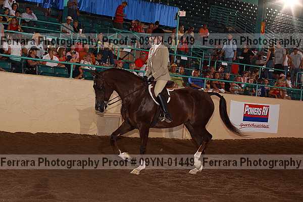 Proof 09yn-01449