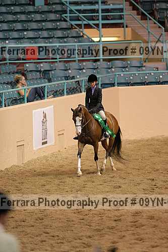 Proof 09yn-01481