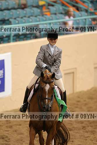 Proof 09yn-01491