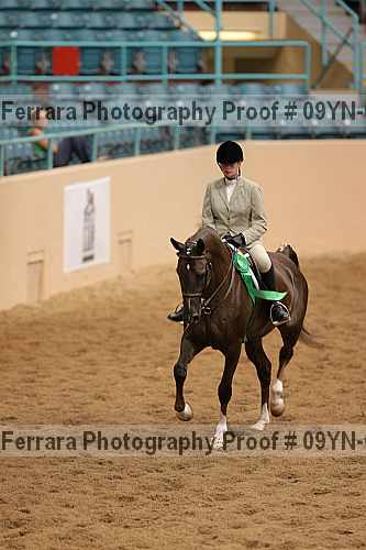 Proof 09yn-01493