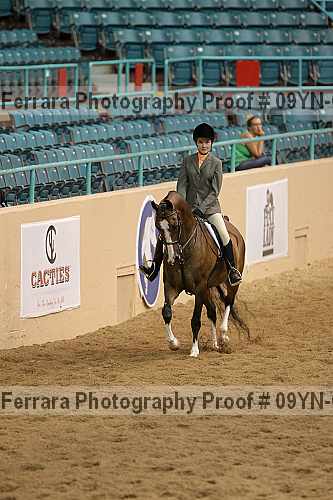 Proof 09yn-01502