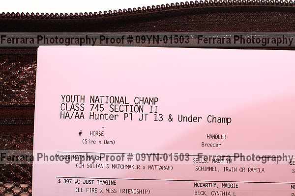 Proof 09yn-01503