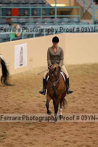 Proof 09yn-01504