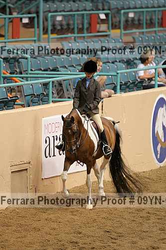 Proof 09yn-01505
