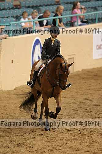 Proof 09yn-01508
