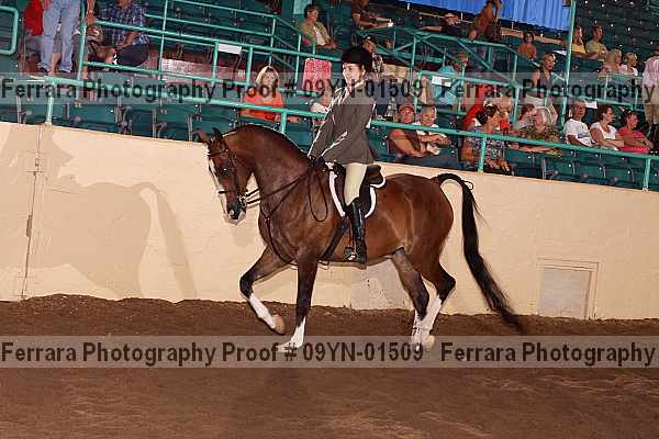 Proof 09yn-01509
