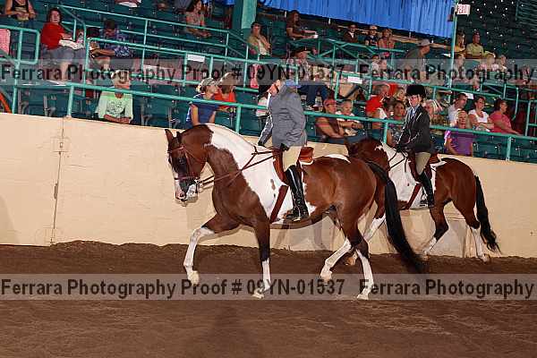Proof 09yn-01537
