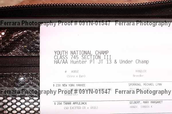 Proof 09yn-01547